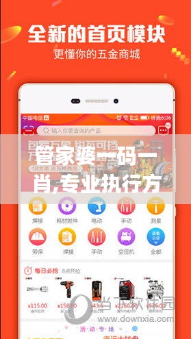 管家婆一码一肖,专业执行方案_Elite12.259-9