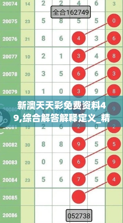 新澳天天彩免费资料49,综合解答解释定义_精装版8.770-4