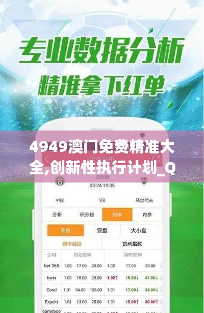 4949澳门免费精准大全,创新性执行计划_QHD版6.427-2