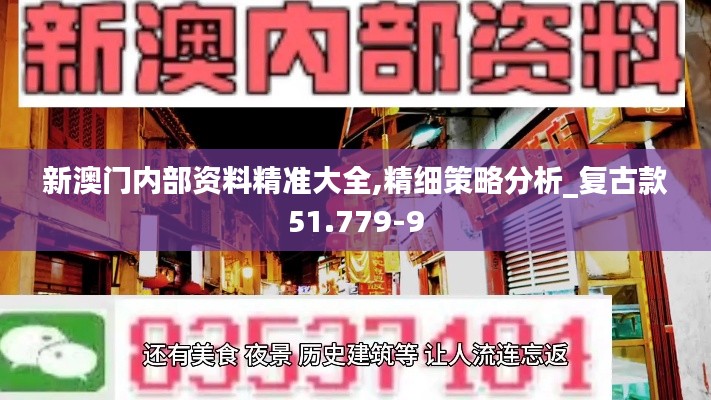新澳门内部资料精准大全,精细策略分析_复古款51.779-9