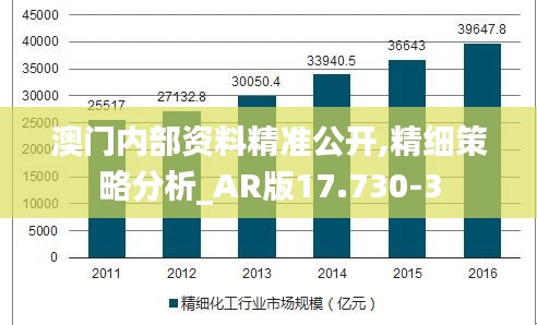 澳门内部资料精准公开,精细策略分析_AR版17.730-3