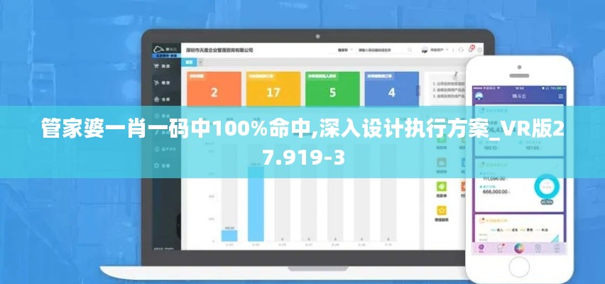 管家婆一肖一码中100%命中,深入设计执行方案_VR版27.919-3