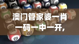 澳门管家婆一肖一码一中一开,实地研究数据应用_X版74.172-9