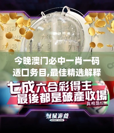 今晚澳门必中一肖一码适囗务目,最佳精选解释定义_动态版87.194-7