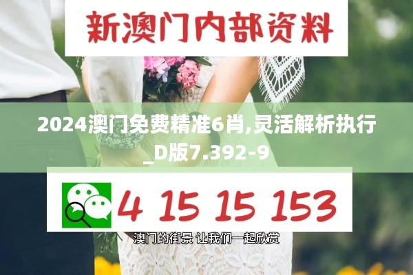 2024澳门免费精准6肖,灵活解析执行_D版7.392-9