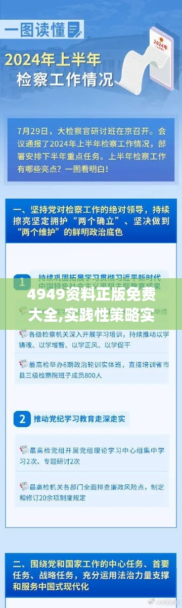 4949资料正版免费大全,实践性策略实施_4K52.949-2