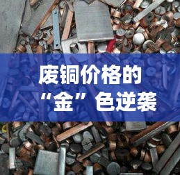 澹泊明志 第5页