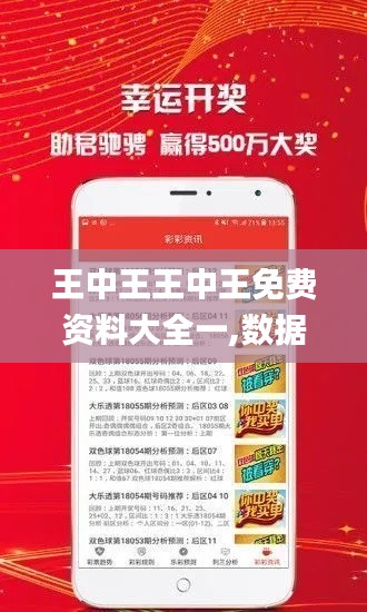 王中王王中王免费资料大全一,数据支持计划解析_Q55.817-8