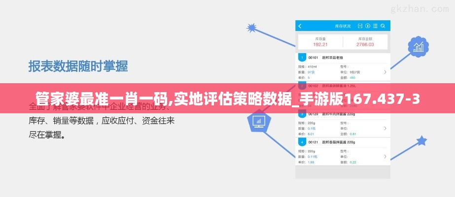 管家婆最准一肖一码,实地评估策略数据_手游版167.437-3