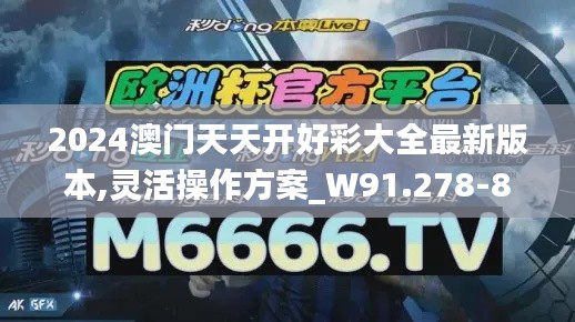 2024澳门天天开好彩大全最新版本,灵活操作方案_W91.278-8