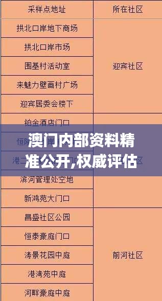 澳门内部资料精准公开,权威评估解析_专属款120.474-2