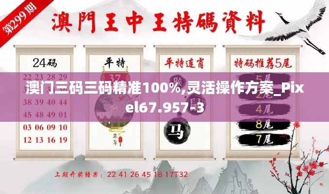 澳门三码三码精准100%,灵活操作方案_Pixel67.957-3