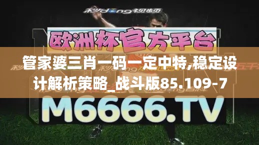 管家婆三肖一码一定中特,稳定设计解析策略_战斗版85.109-7