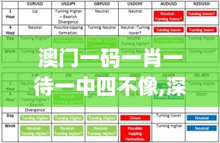 澳门一码一肖一待一中四不像,深究数据应用策略_变革版UDW47.722