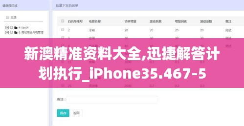 新澳精准资料大全,迅捷解答计划执行_iPhone35.467-5
