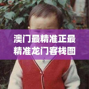 澳门最精准正最精准龙门客栈图库,平衡实施策略_专业款71.877-9