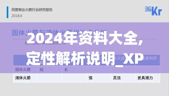 2024年资料大全,定性解析说明_XP161.154-8