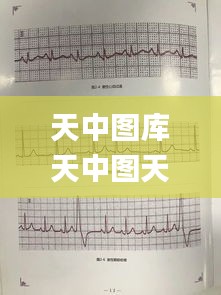 天中图库天中图天中图库汇总,预测分析解释定义_特供版169.912-8