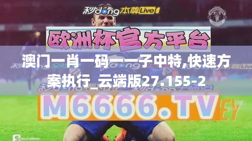 澳门一肖一码一一子中特,快速方案执行_云端版27.155-2