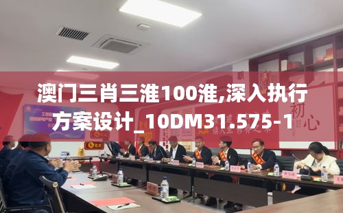 澳门三肖三淮100淮,深入执行方案设计_10DM31.575-1