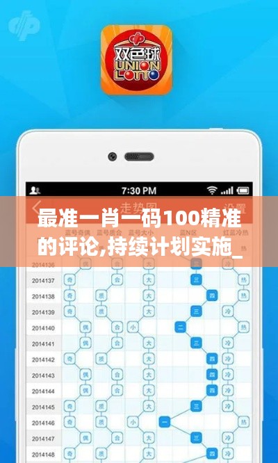 最准一肖一码100精准的评论,持续计划实施_免费版12.709-1