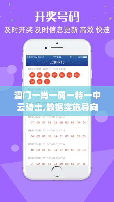 澳门一肖一码一特一中云骑士,数据实施导向策略_M版34.591-7