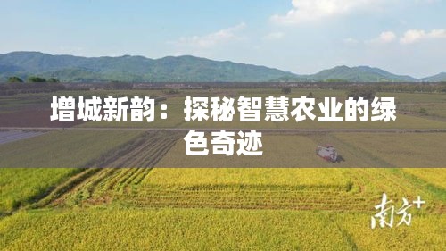增城新韵：探秘智慧农业的绿色奇迹