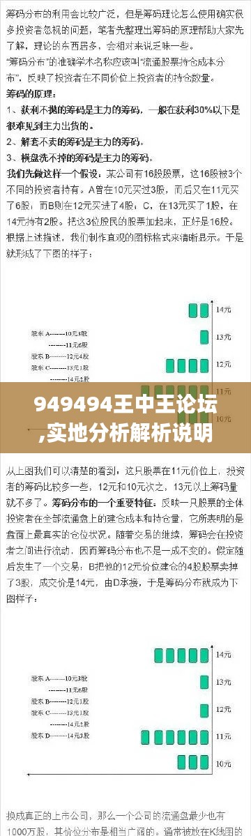 949494王中王论坛,实地分析解析说明_Prestige88.927-9