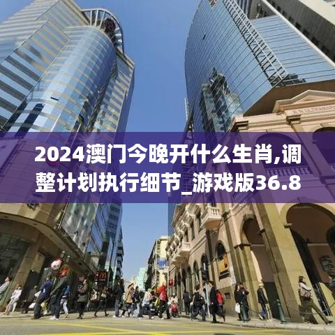 2024澳门今晚开什么生肖,调整计划执行细节_游戏版36.807-8