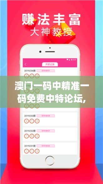澳门一码中精准一码免费中特论坛,实地应用验证数据_3DM96.248-7