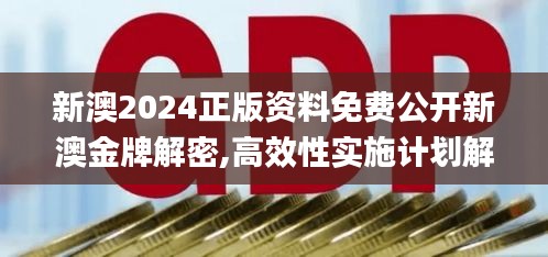 新澳2024正版资料免费公开新澳金牌解密,高效性实施计划解析_XT41.711-2