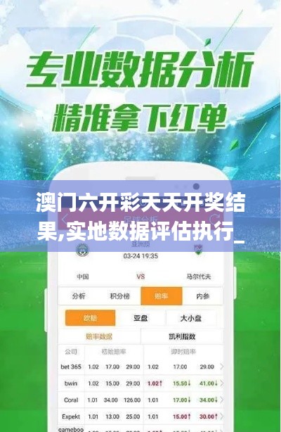 澳门六开彩天天开奖结果,实地数据评估执行_XT63.813-8