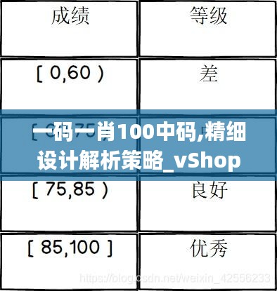 一码一肖100中码,精细设计解析策略_vShop30.721-6