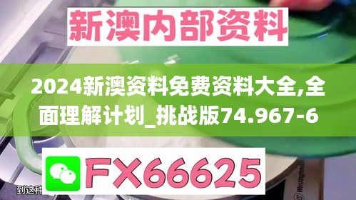 2024新澳资料免费资料大全,全面理解计划_挑战版74.967-6