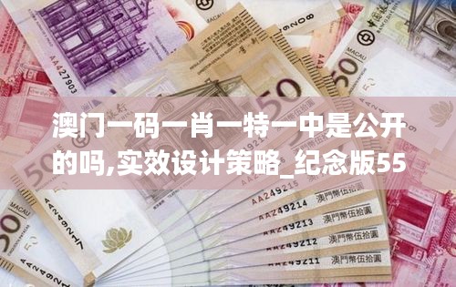 澳门一码一肖一特一中是公开的吗,实效设计策略_纪念版55.269-2