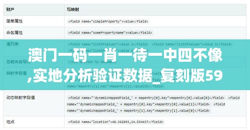 澳门一码一肖一待一中四不像,实地分析验证数据_复刻版59.309-7