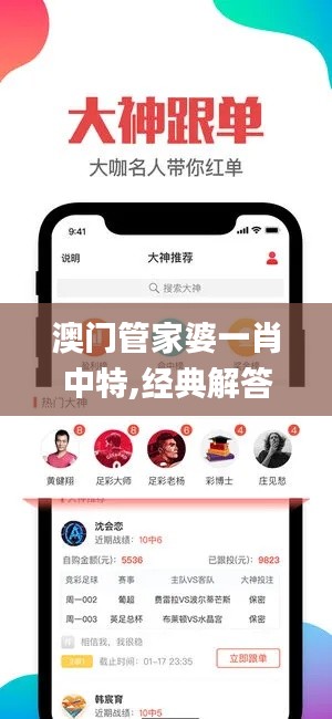 澳门管家婆一肖中特,经典解答解释定义_QHD71.338-6