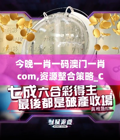 今晚一肖一码澳门一肖com,资源整合策略_Console66.830-5