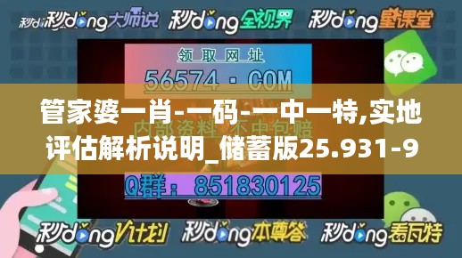 管家婆一肖-一码-一中一特,实地评估解析说明_储蓄版25.931-9