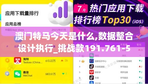 澳门特马今天是什么,数据整合设计执行_挑战款191.761-5