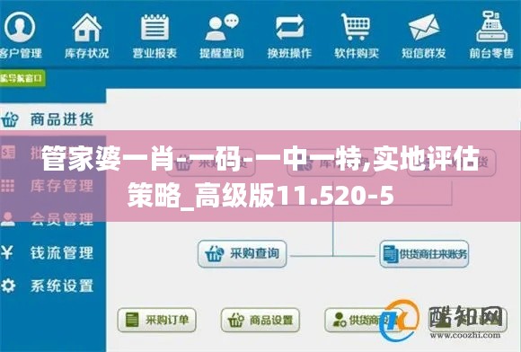 管家婆一肖-一码-一中一特,实地评估策略_高级版11.520-5
