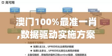 澳门100%最准一肖,数据驱动实施方案_安卓款19.664-8