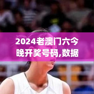 2024老澳门六今晚开奖号码,数据支持计划设计_工具版65.764-3