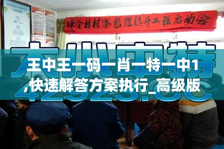 王中王一码一肖一特一中1,快速解答方案执行_高级版28.851-9