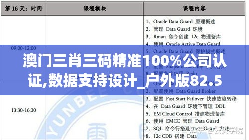 澳门三肖三码精准100%公司认证,数据支持设计_户外版82.513-6