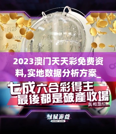 2023澳门天天彩免费资料,实地数据分析方案_S15.599-6
