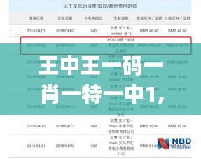 王中王一码一肖一特一中1,统计解答解释定义_Windows23.415-9