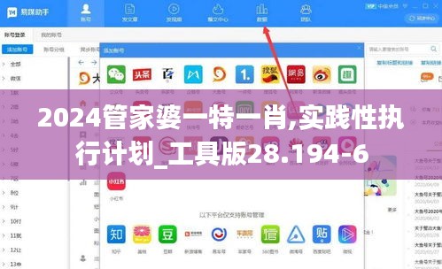 2024管家婆一特一肖,实践性执行计划_工具版28.194-6