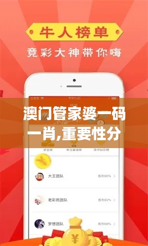 澳门管家婆一码一肖,重要性分析方法_MP15.246-9