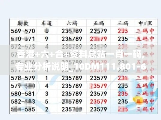 香港+六+合+资料总站一肖一码,专业分析说明_10DM111.801-6